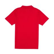 Schooltex South Hornby School Short Sleeve Polo with Embroidery