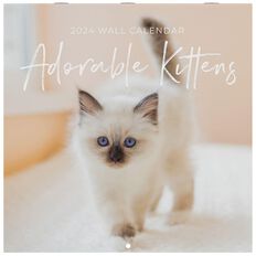 Bright Ideas Adorable Kitten Calendar 2024