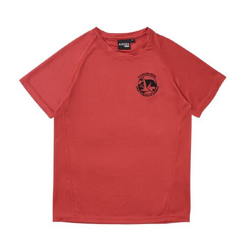 Schooltex Pt England Year 7 & 8 Only Sport Tee with Embroidery