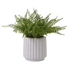 Living & Co Artificial Fern in Pot