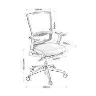 Eden Cloud Ergo Mesh Highback Chair with Arms Charcoal