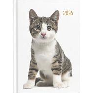 Collins 2026 Diary Week To View Cats & Dogs Multi-Coloured A5