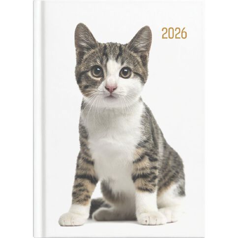 Collins 2026 Diary Week To View Cats & Dogs Multi-Coloured A5