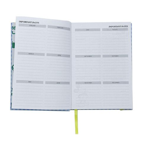 Mickey Mouse 2026 Day To Page Diary Blue A5