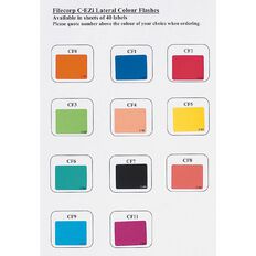 Filecorp Coloured Labels Z Multi-Coloured