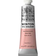 Winsor & Newton Winton Oil Paint 37ml Pale Rose Blush