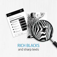 HP Toner 134A Black (1100 Pages)