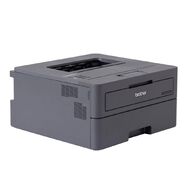 Brother HL-L2400DW Mono Laser Printer