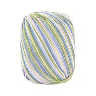 Birch Cotton Print 4Ply Worsted 100% Cotton 65G Botanic Haze