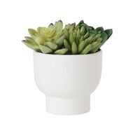Living & Co Artificial Multi Succulent Potted Plant White