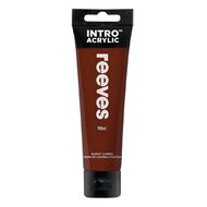 Reeves Intro Acrylic Paint Burnt Umber 100ml