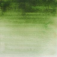 BLOCKX Watercolour Half Pan S1 164 Hookers Green Green