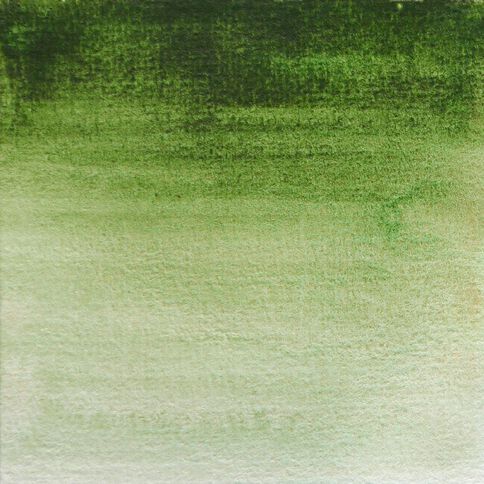 BLOCKX Watercolour Half Pan S1 164 Hookers Green Green