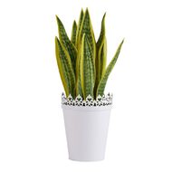 Living & Co Artificial Snake Plant in Metal Lace Pot