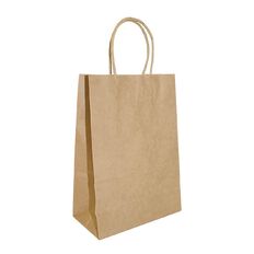 Accessory Twisted Handle Paper Bag 25 Pack