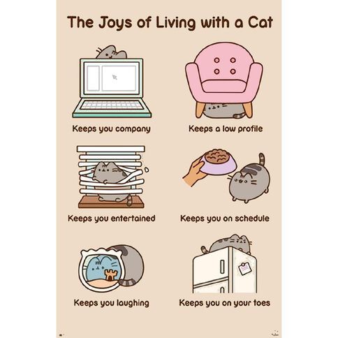 Poster #20 Pusheen Joys Of Living With A Cat
