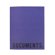 WS Colour Pop 2D Ringbinder Blue