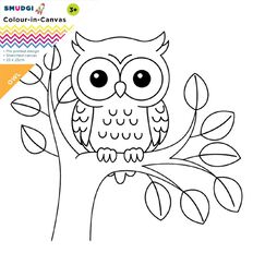 Jasart Smudgi Colour In Canvas Owl 25 x 25cm