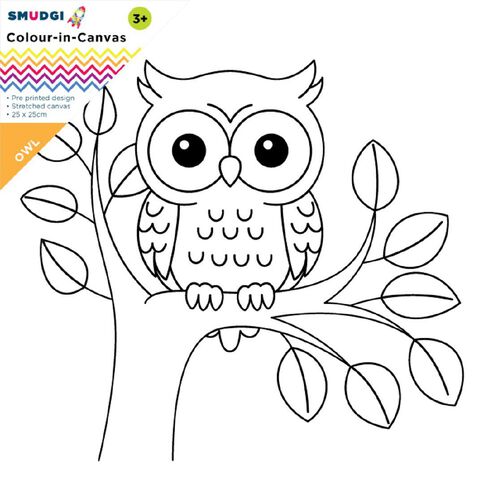 Jasart Smudgi Colour In Canvas Owl 25 x 25cm Jasart Smudgi Colour In Canvas Owl 25 x 25cm
