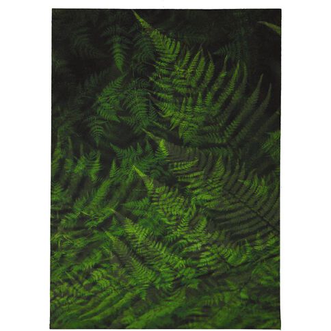 Kookie NZ Theme Printed Felt 4 Sheets A4