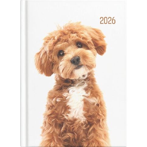 Collins 2026 Diary Week To View Cats & Dogs Multi-Coloured A5