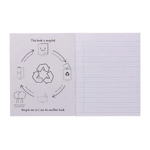 WS BWB Beginners Writing Book Green Mid