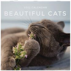 Bright Ideas 2022 Calendar Beautiful Cats 290mm x 290mm