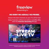 DishTV SmartVU+ A7080 Freeview Receiver