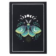 WS 2026 Diary Day to Page A5 Illuminating Moth