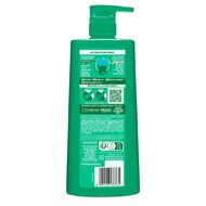 Garnier Coconut Water Shampoo 850ml