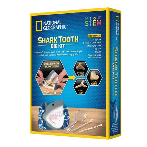 National Geographic Dig Kit Assorted