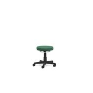 Chairmaster Stool Breathe Fern