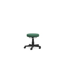 Chairmaster Stool Breathe Fern