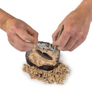 National Geographic Dig Kit Assorted