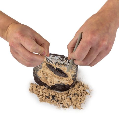 National Geographic Dig Kit Assorted