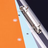 Avery Reinforcement Ring Labels 13mm diameter 250 Labels