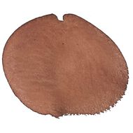 Liquitex Acrylic Ink Sepia 30ml