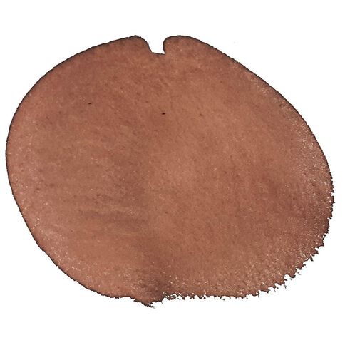 Liquitex Acrylic Ink Sepia 30ml