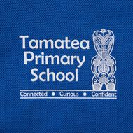Schooltex Tamatea Primary School Short Sleeve Polo with Embroidery