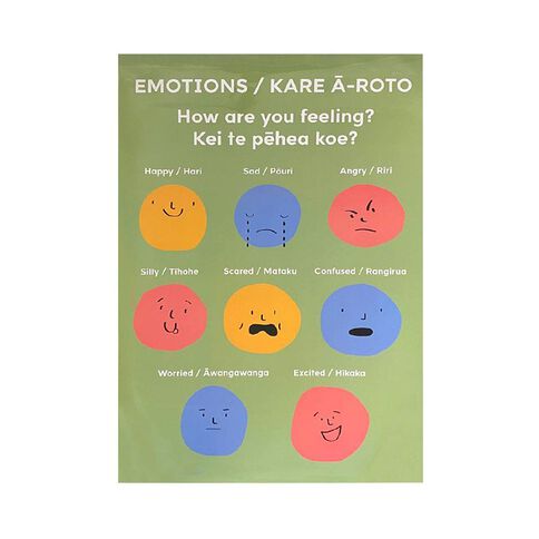Educational Poster Emotions 60cm x 90cm