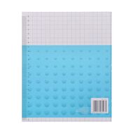 WS Exercise Book 1H5 10mm Quad 36 Leaf Blue
