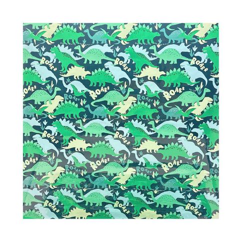 WS Book Covering Dino 45cm x 1m