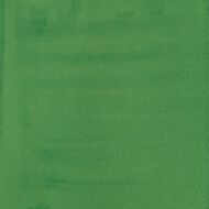 Liquitex Acrylic Ink Hookers Green Hue Permanent 30ml
