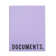 WS Colour Pop 2D Ringbinder Purple Mid