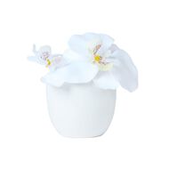 Living & Co Artificial Mini Orchid in Pot White