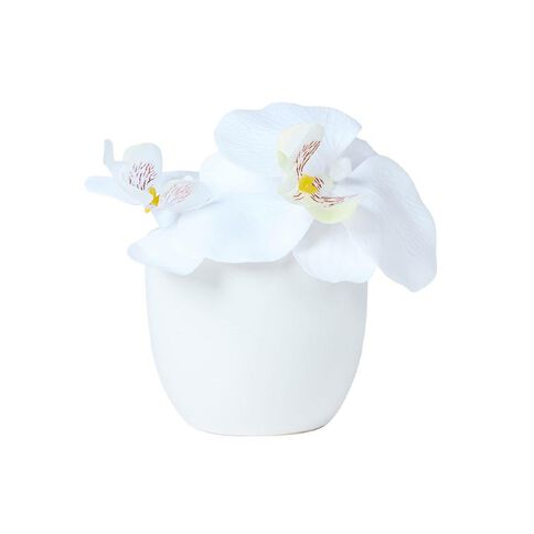 Living & Co Artificial Mini Orchid in Pot White