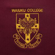 Schooltex Waiuku College Hoodie with Embroidery