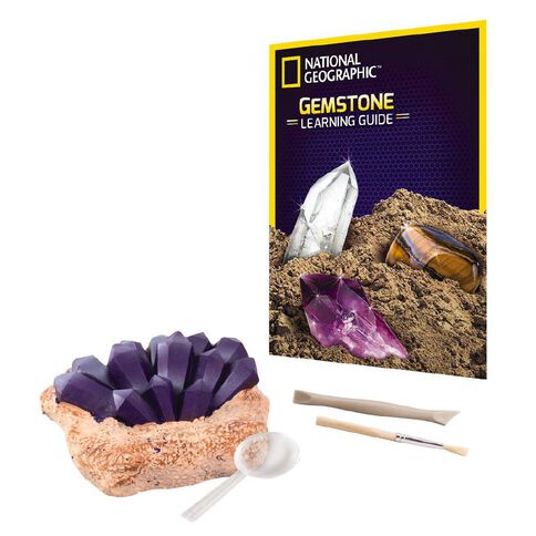 National Geographic Dig Kit