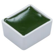BLOCKX Watercolour Half Pan S1 164 Hookers Green Green