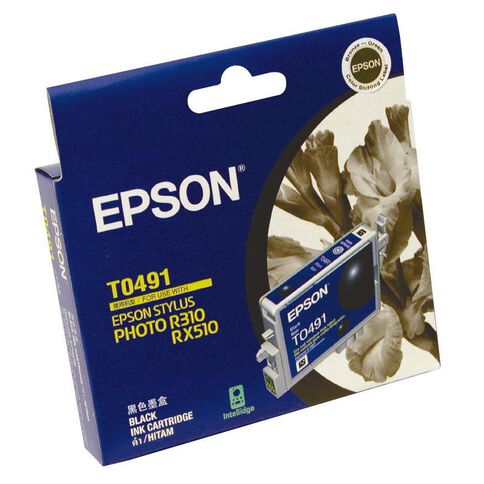 Epson Ink T0491 Black (441 Pages)